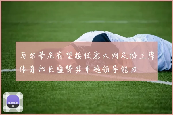 马尔蒂尼有望接任意大利足协主席体育部长盛赞其卓越领导能力